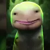 xavierwillis355 - @xavierwillis355 - TikTok