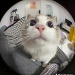 Xavier Winters - Facebook