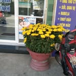 Xây Đặng - @trang0766777907 - Instagram