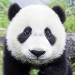 Mai Xee Moua - @mmoua14 - Instagram