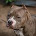 Xee Vang - Facebook