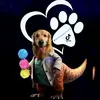 GoldensaurioXela - @goldensaurioxela - TikTok