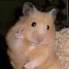 xenallen - @botany.qt - TikTok