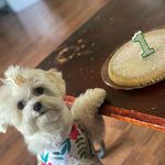 Xena Marshmallow Clark - @xena_mello - Instagram