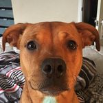 Ms Xena Robles Martinez - @xenaslife - Instagram