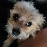 Xena Rivera - @xenarivera247 - Instagram
