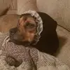 Xena - @xenaprincessrobinson - TikTok