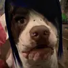 XenanTj - @xenan.robinson - TikTok