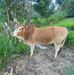 Xeng Chang - Facebook