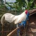 Xeng Moua - Facebook
