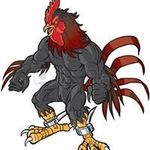 Xeng Vang - @vang_xeng - Instagram