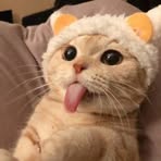 XI Cai - Facebook