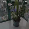 xincaiusm - @xincaiusm - TikTok