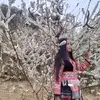 hluas nkauj Hmoob dub - @xiateng3 - TikTok