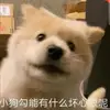 xiaoteng - @xiaoteng56 - TikTok
