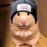 夏藤 - @xiateng934 - Instagram