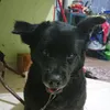Sun Xiang - @sunxiangfei - TikTok