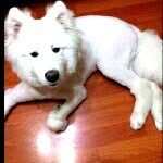 肖腾 - @xiaoteng1993111 - Instagram