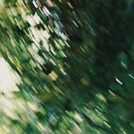 Xiaochen SHI - @lifeisnt_elsewhere - Instagram