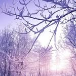 Xiaodong Hao - @hao_xiaodong - Instagram