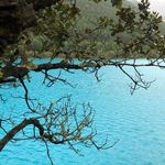 Xiaodong He - @xiaodong.he.980967 - Instagram