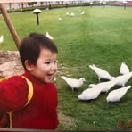 Xiaofei Chang - Facebook