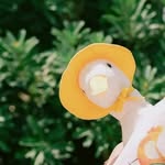 xiaofeizhu - @changtuixiaofeizhu - Instagram