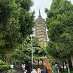Xiaofeng Sun - @xiaofengsunsun - Instagram