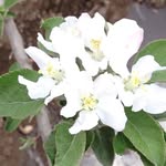 Xiaofeng Sun - @xiaofeng.sun.1401 - Instagram