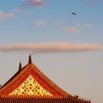 Xiaofeng Sun - @owl.sun.1968 - Instagram