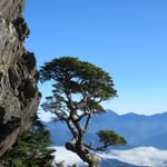蕭浤偉 - @xiaohongweixiao - Instagram
