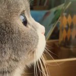@_xiaohua_hey - Instagram
