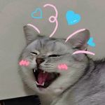 Xiaohua - @xiaohuaheshui - Instagram