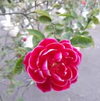 Xiaohua Hu - Facebook