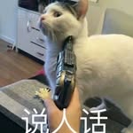 朱徽徽 - @xiaohuahuaer768 - Instagram
