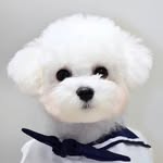 小花花的每一天 - @xiaohuahuaeveryday - Instagram