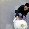 Xiaohua Wei - @xiaohuawei4 - TikTok