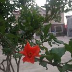 Xiaojian Wu - @xiaojian645 - Instagram
