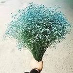Xiaojie Fu - @xiaojie_fu - Instagram