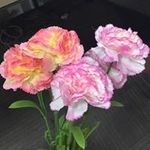 Xiaojing Su - @sxjing615 - Instagram