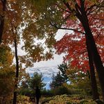 Xiaokang Li - @xiaokang.li.12 - Instagram