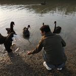 Xiaolei Pan - @parverulong - Instagram