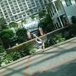 Xiaolin Gong - @gong_xiaolin - Instagram