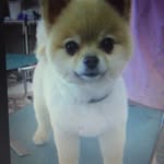 小林恭子 - @xiaolingongzi5846 - Instagram
