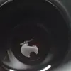 xiaolingpeng5 - @funnyyy992 - TikTok