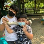 謝小霖 - @xiaolinxie7 - Instagram