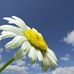 Xiaolan Zheng - Facebook
