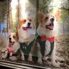xiaolinzeng5 - @xiaolinzeng5 - TikTok