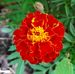 Xiaoson Zeng - Facebook