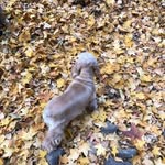 Lin Lin - @xiaolin.zhou.73 - Instagram